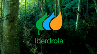 iberdrola-consigue-visto-bueno-en-maine-para-la-fusion-con-avangrid