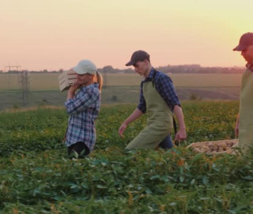 postobon-y-el-sena-capacitaron-a-jovenes-como-tecnicos-en-cultivos-agricolas