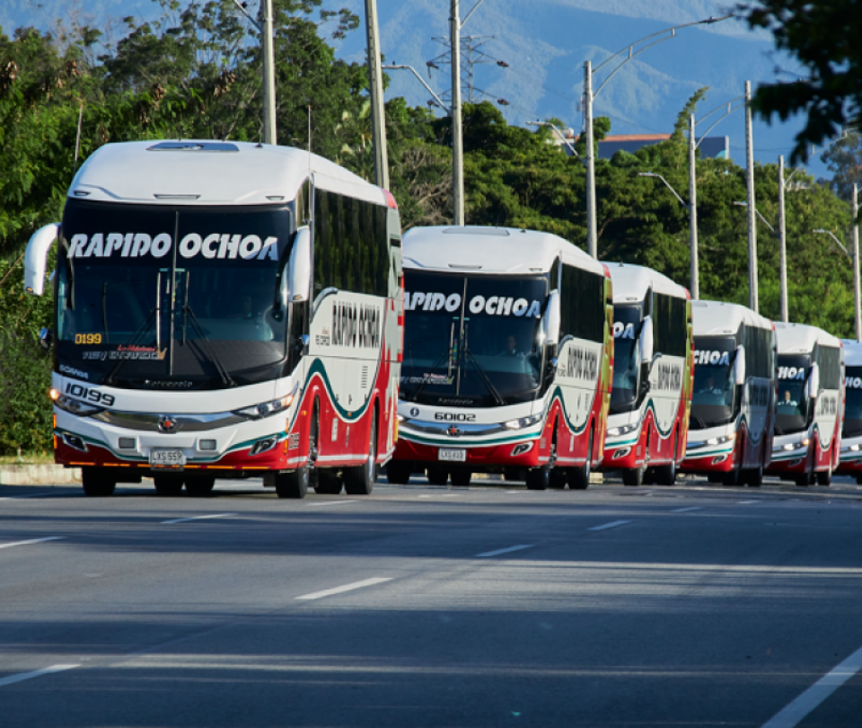 scania-entrego-25-buses-a-la-empresa-de-transporte-rapido-ochoa