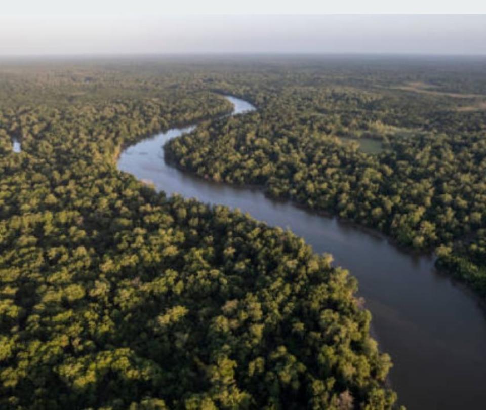 avianca-y-deprisa-se-unen-para-combatir-la-contaminacion-plastica-en-la-amazonia