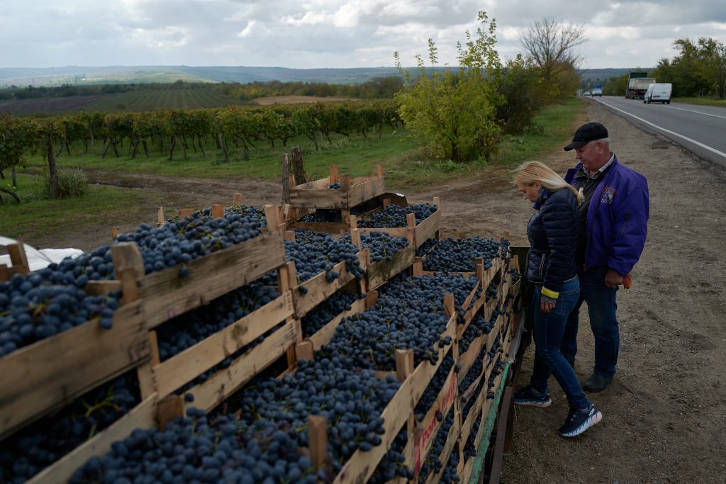 moldavia-saca-pecho-de-sus-vinos