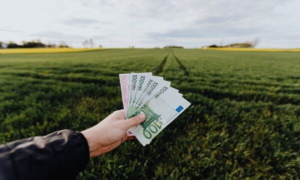 invertir-en-calidad:-la-clave-para-carteras-solidas-y-resistentes-al-mercado