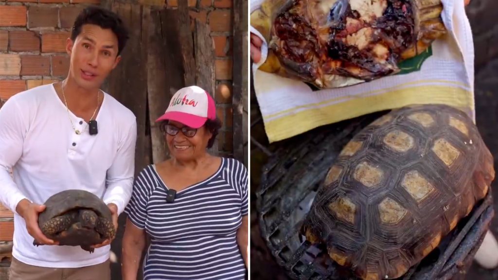 un-famoso-chef-peruano-cocina-una-especie-de-tortuga-protegida-en-un-video-que-se-vuelve-viral