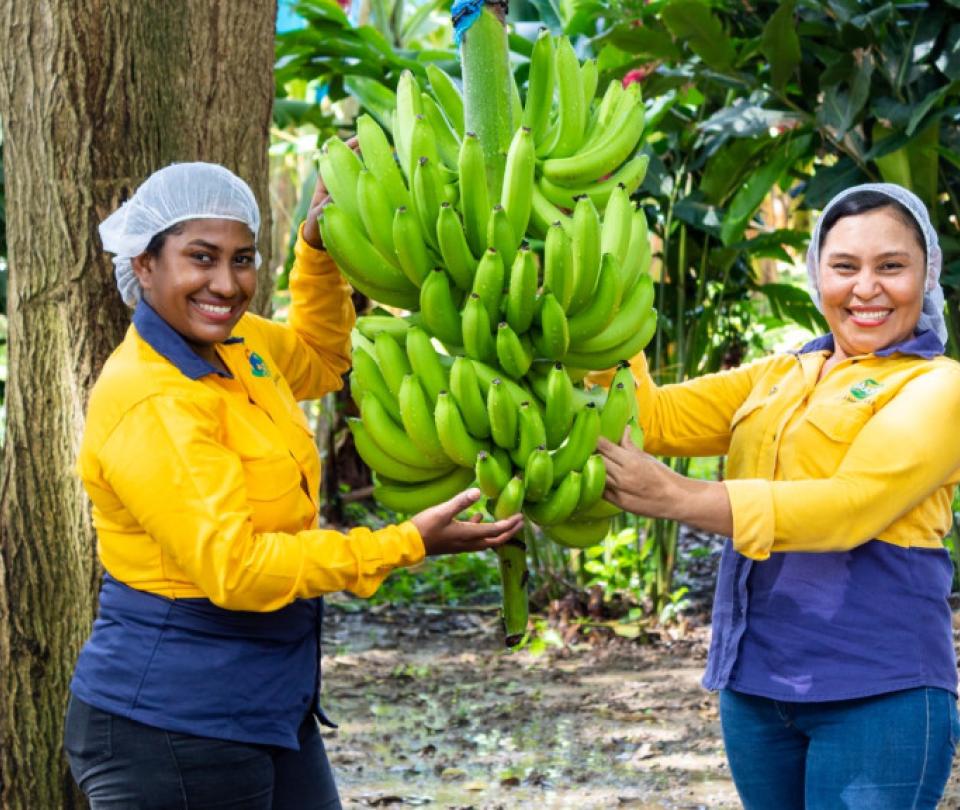 grupo-daabon-amplia-su-oferta-de-productos-incursionando-en-snacks-organicos