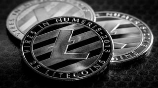 las-ballenas-de-litecoin-especulan-con-el-lanzamiento-del-etf